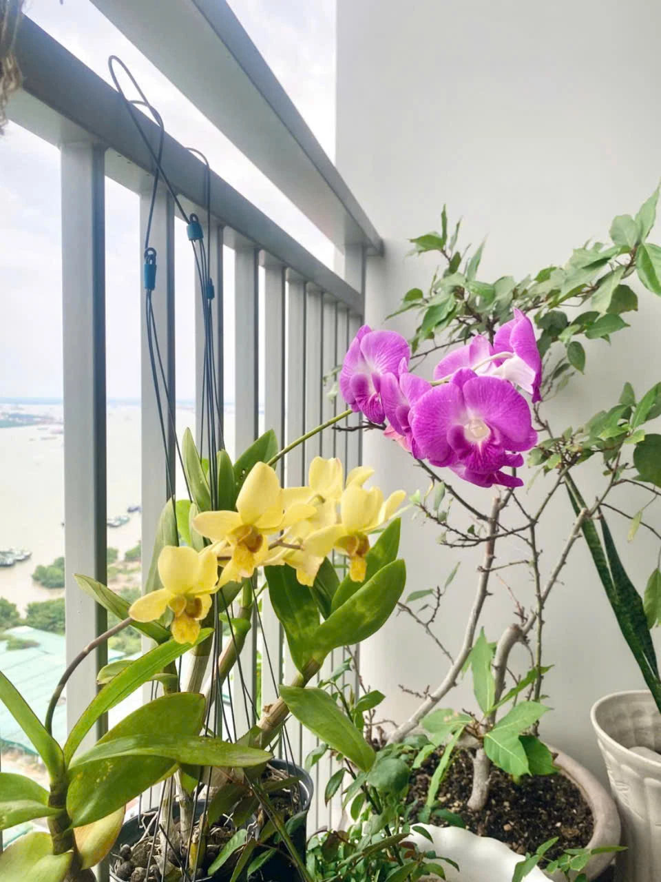 Giàn phơi thông minh